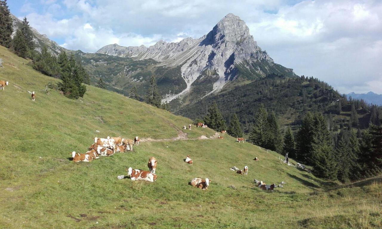 Burtscherhof In Braz Ausserbraz Buitenkant foto